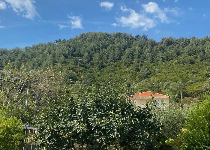 호텔 블루 베이 비치 코이니라